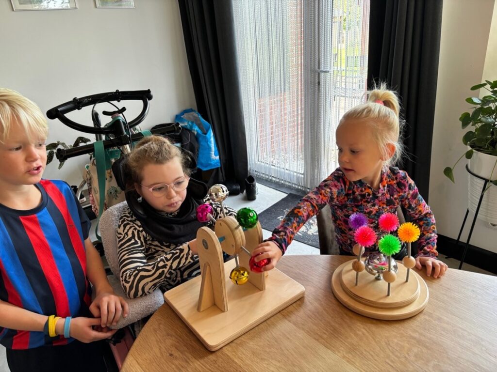 nieuw speelgoed in logeerhuis de Manenschijn